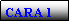 Text Box: CARA 1