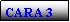 Text Box: CARA 3